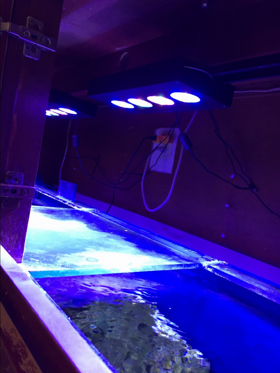 IMG_0814.jpeg