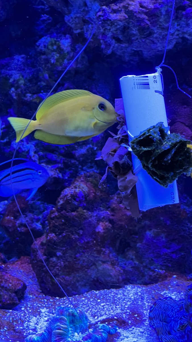 IMG_0815.jpeg