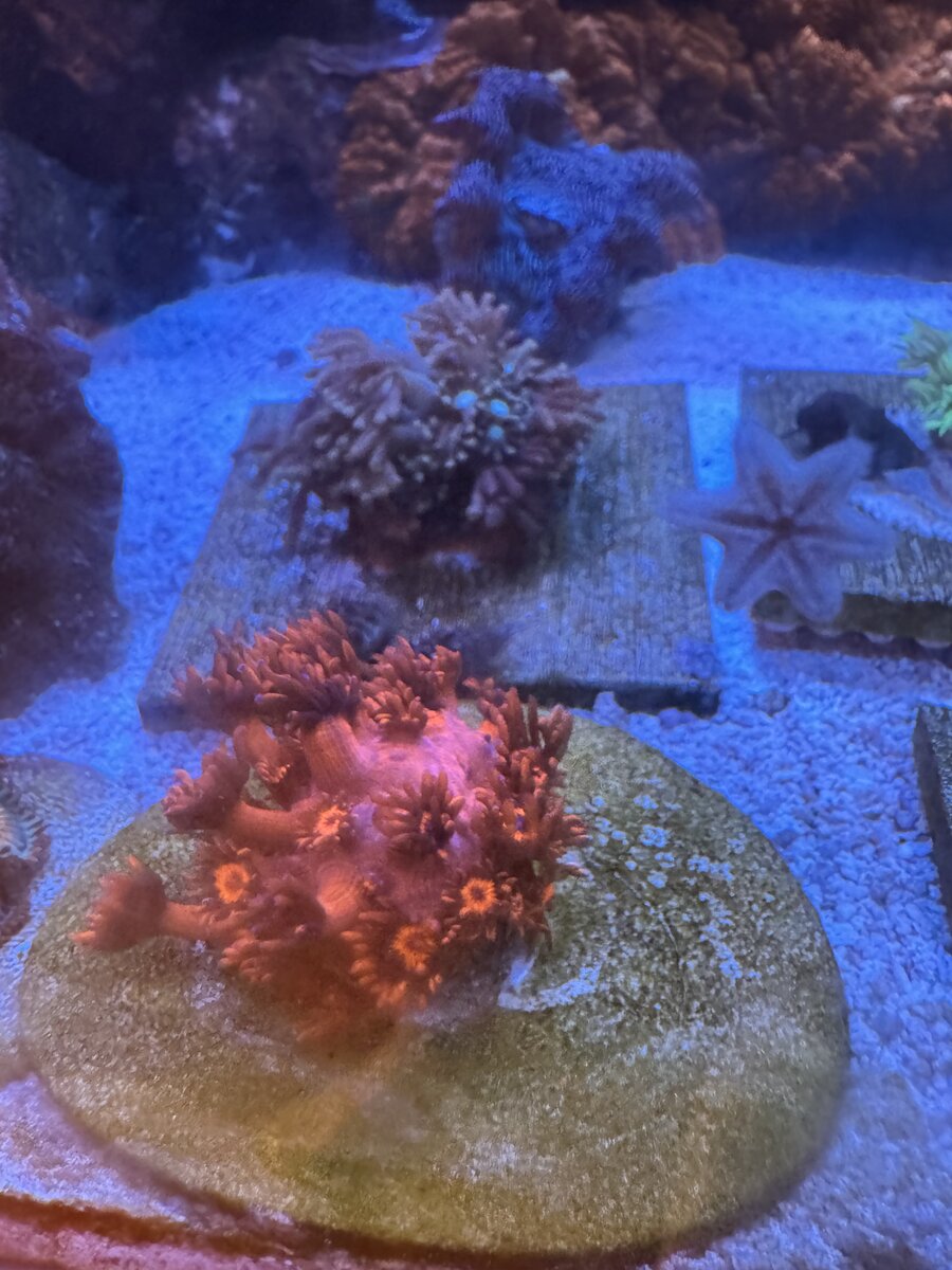 IMG_0819.jpeg