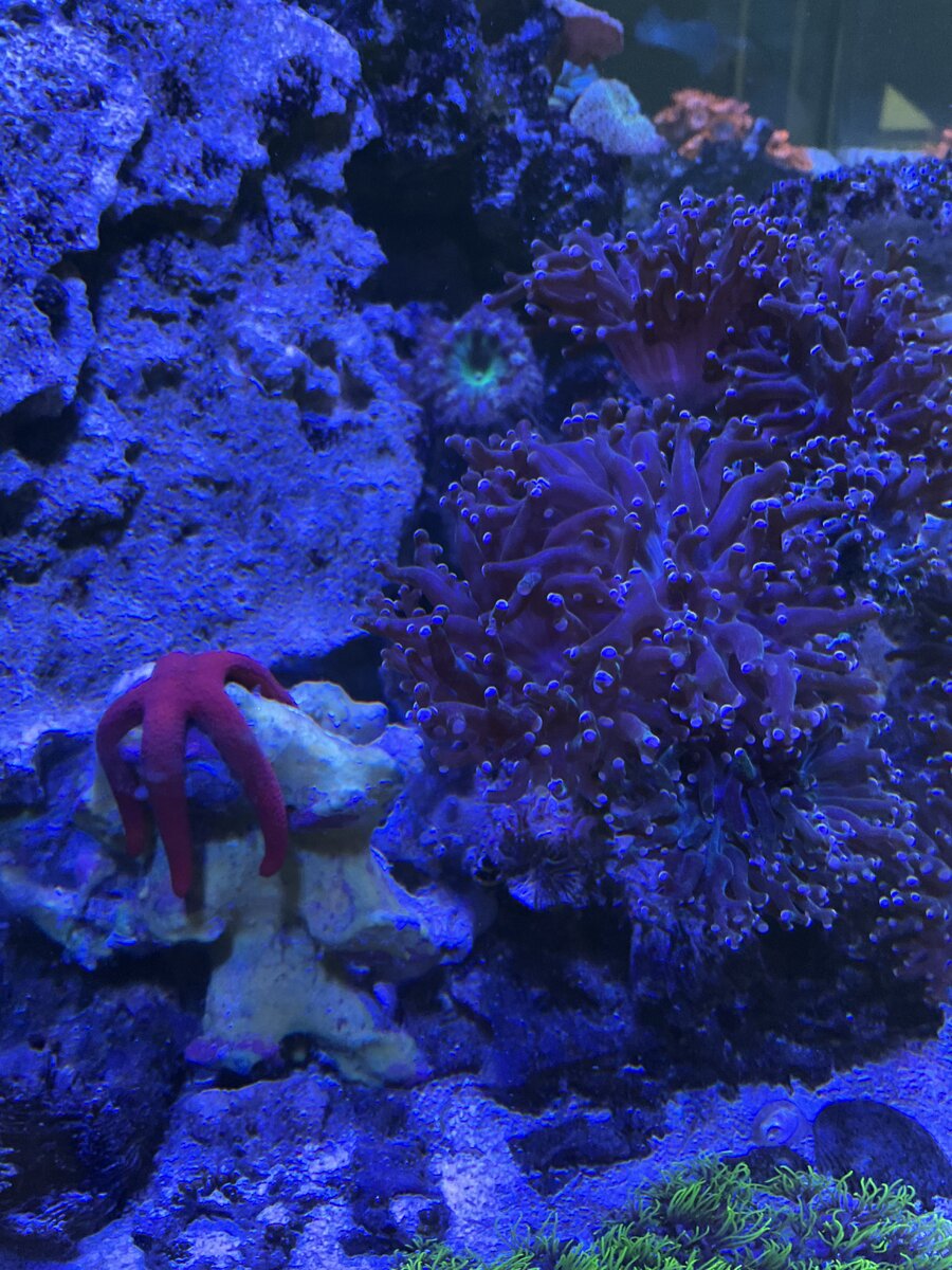 IMG_0825.jpeg