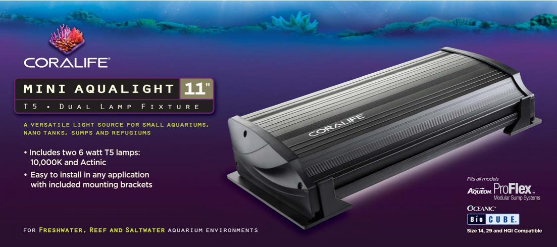 Coralife clearance t5 bulbs