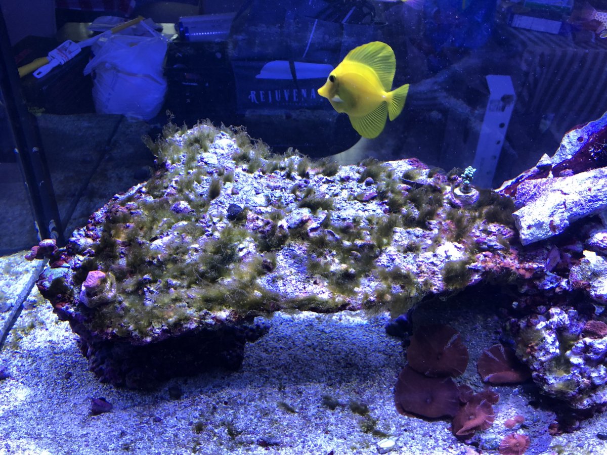IMG_0837.jpeg