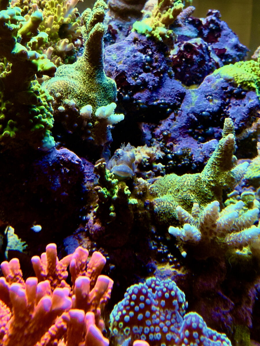 IMG_0841.jpeg