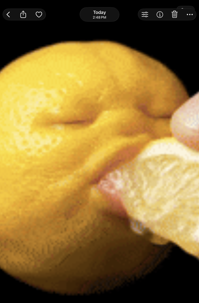 IMG_0847.png