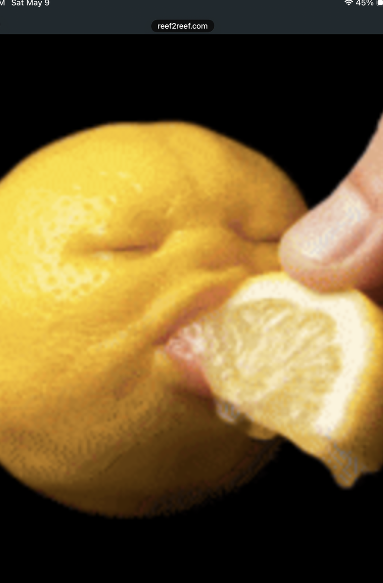 IMG_0849.png