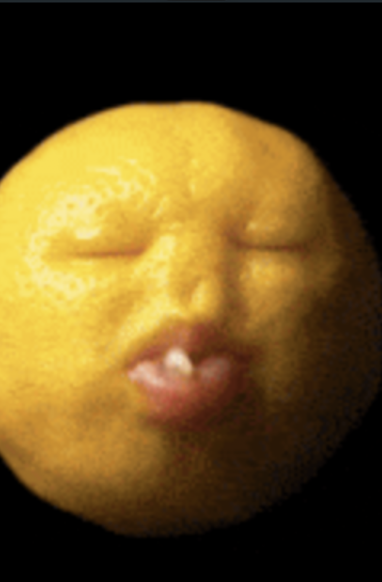 IMG_0850.png