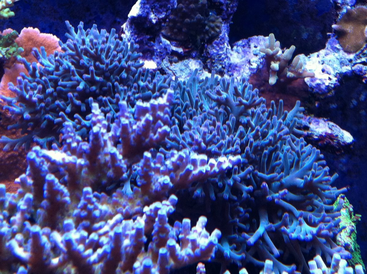 IMG_0851.JPG