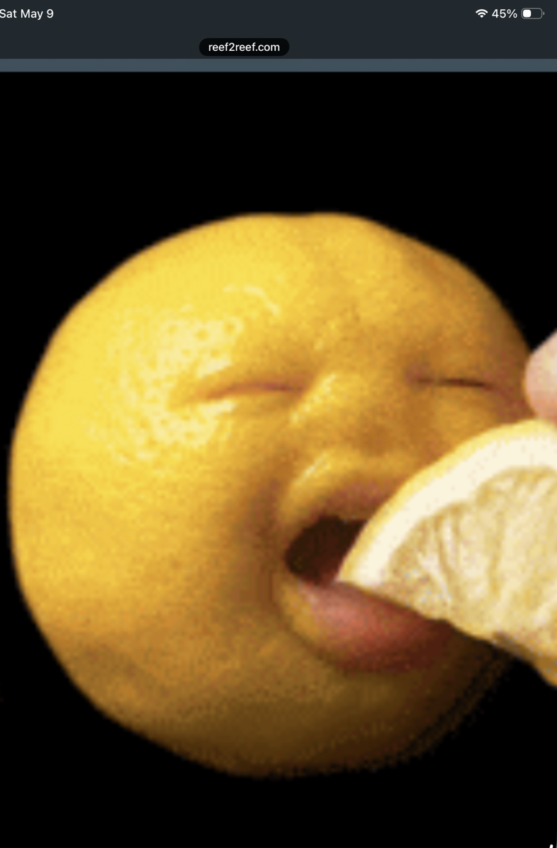 IMG_0851.png