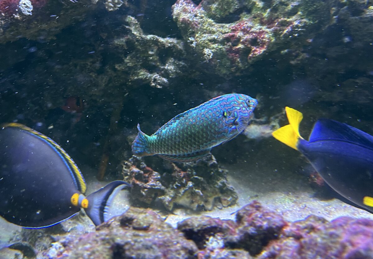 IMG_0852.jpeg