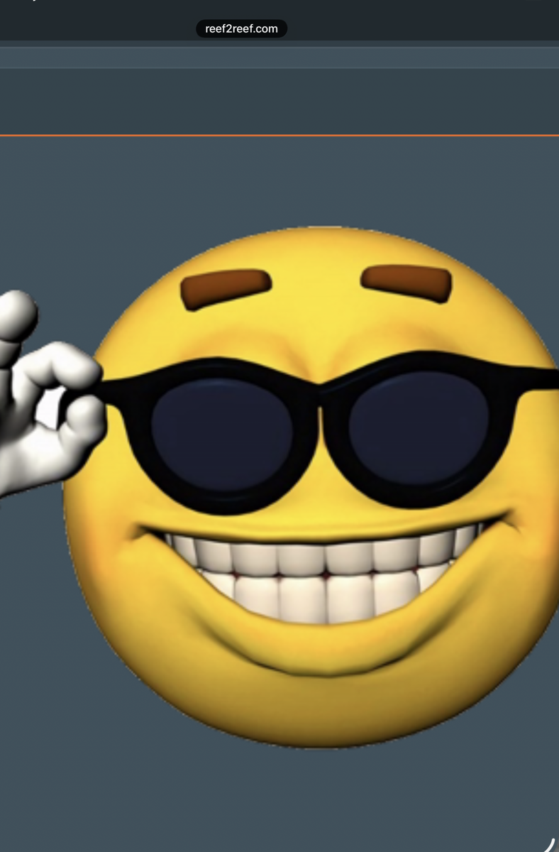 IMG_0854.png