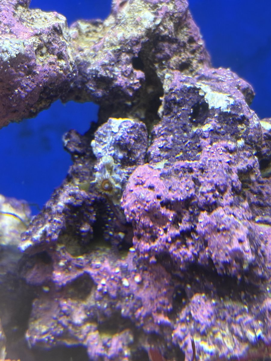IMG_0860.jpeg