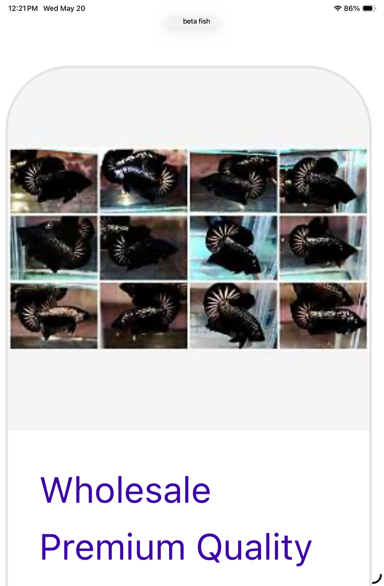 IMG_0860.png