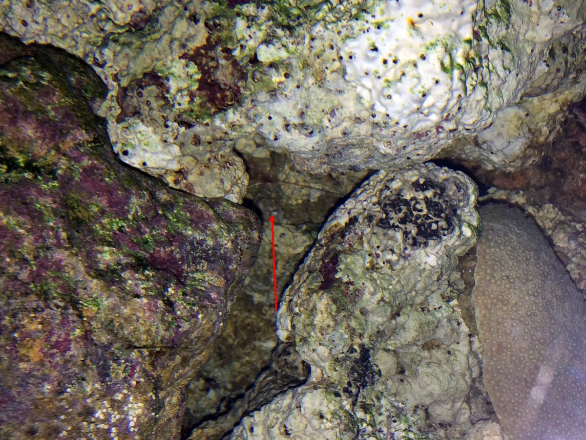 IMG_0873.JPG