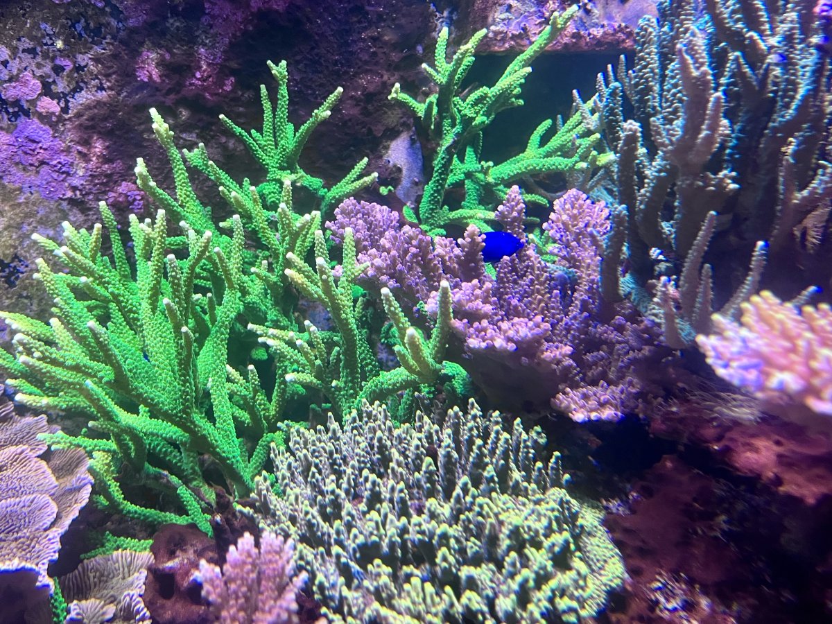IMG_0880.jpeg