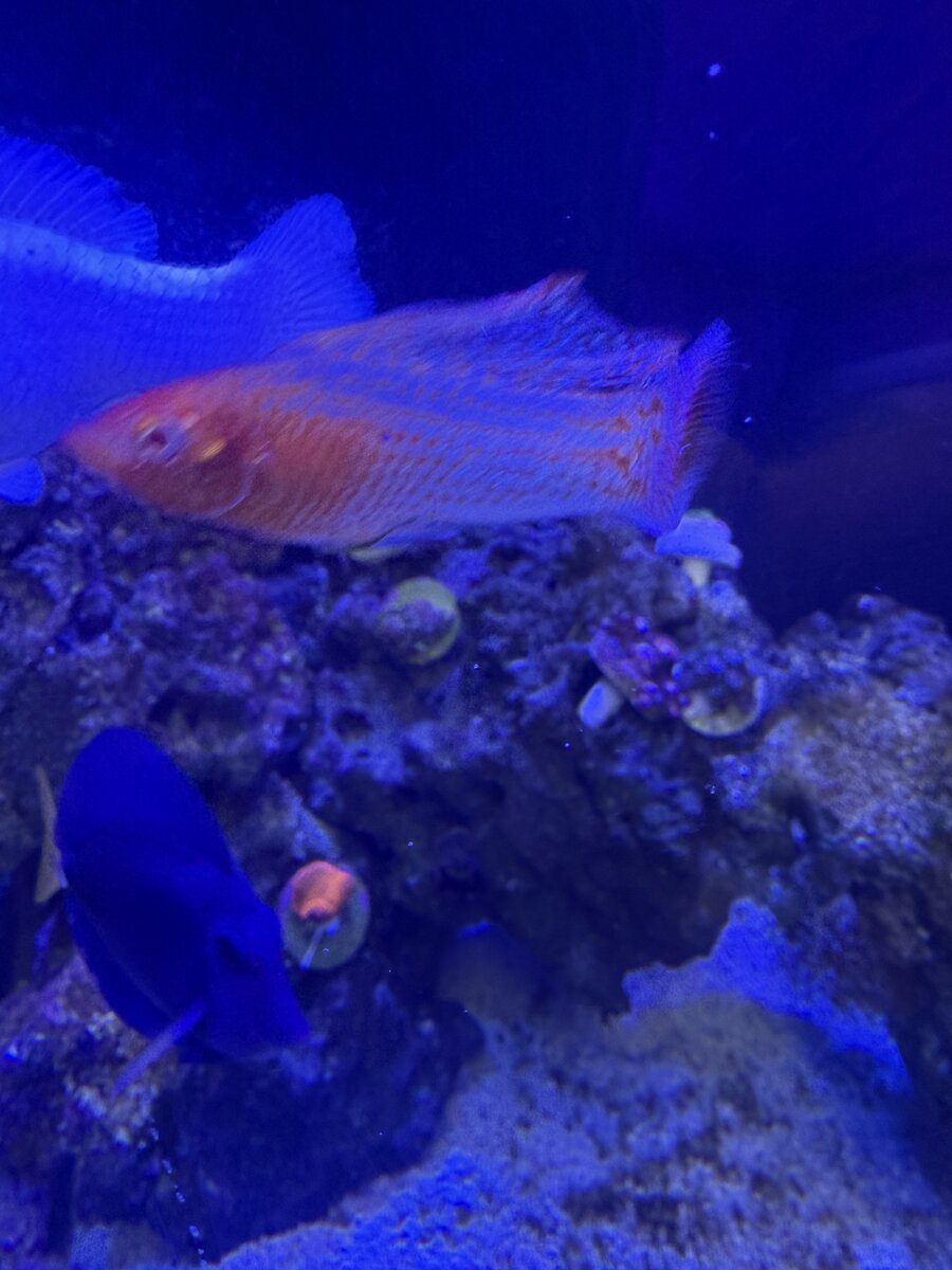 IMG_0885.jpeg