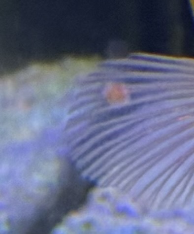 IMG_0886.jpeg