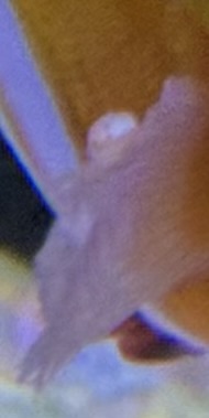 IMG_0887.jpeg
