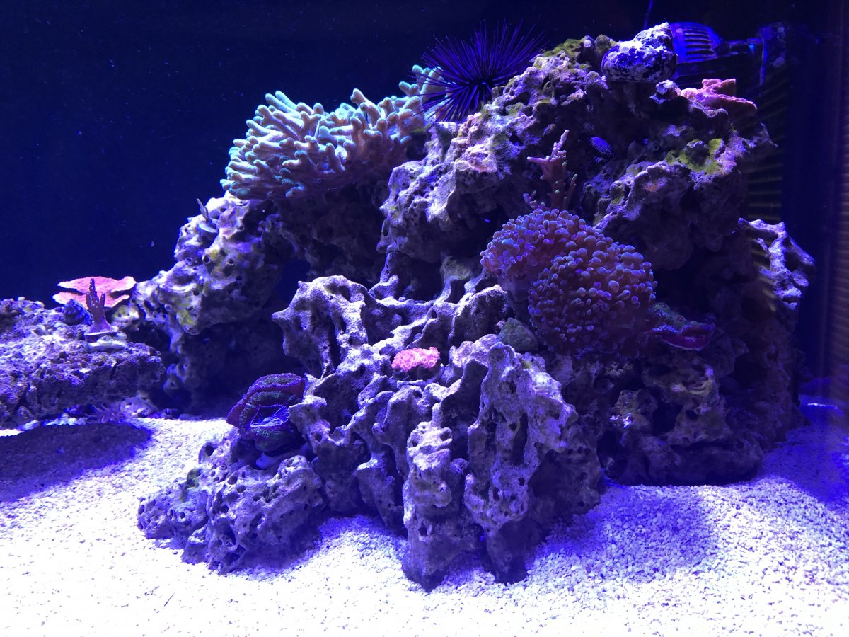 IMG_0902.JPG