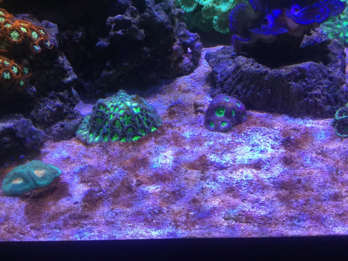 IMG_0912.JPG