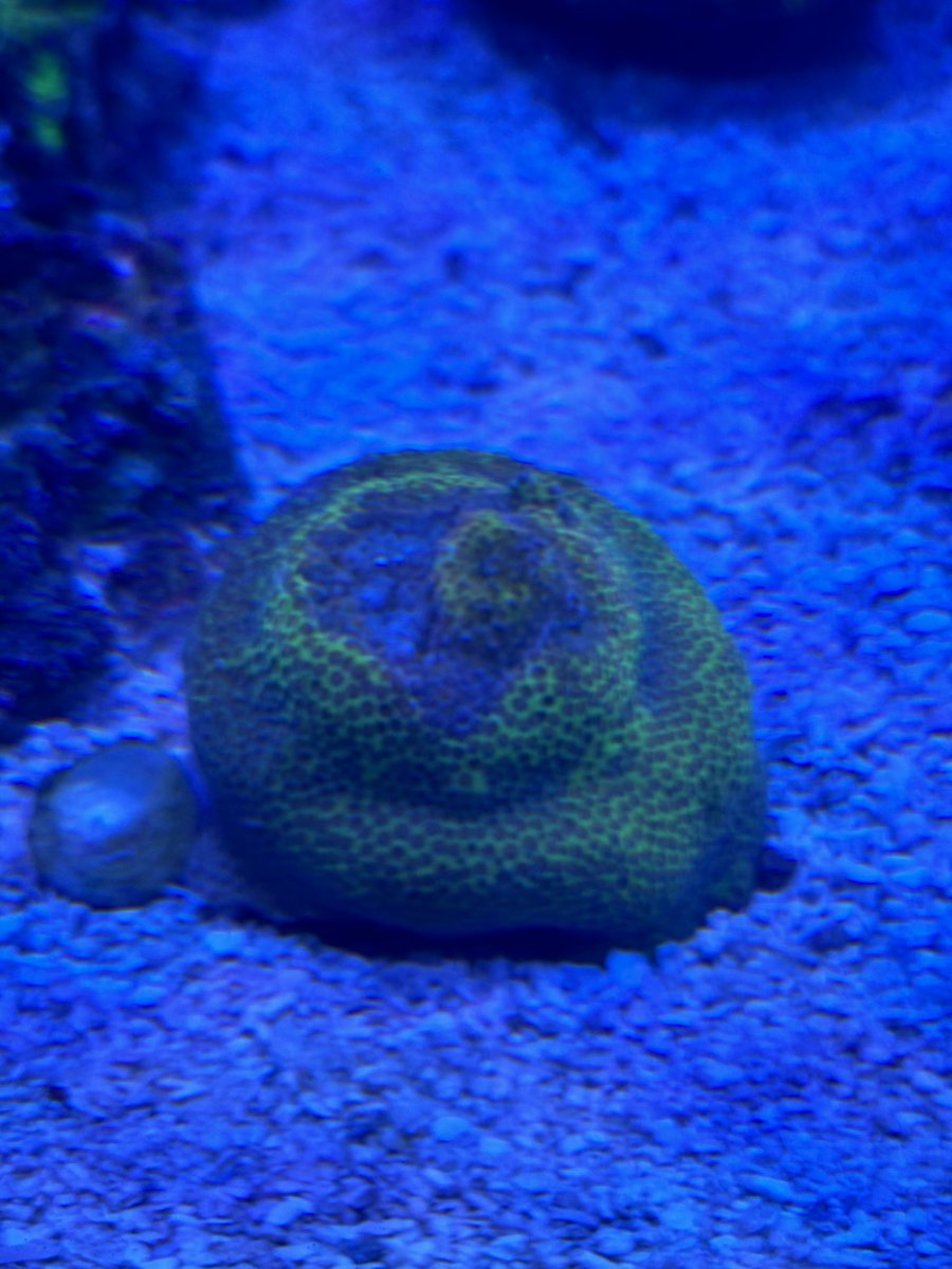 IMG_0922.jpeg