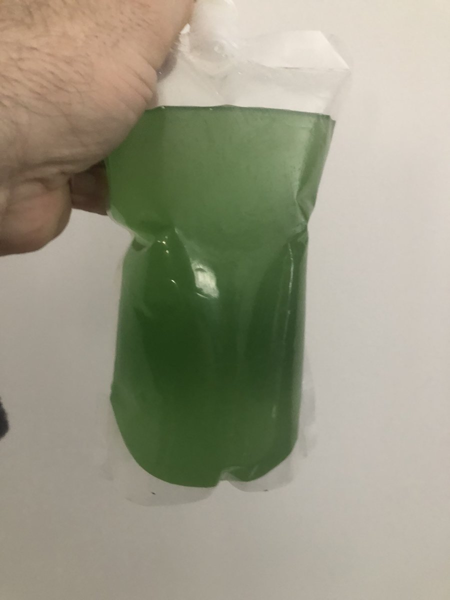 IMG_0923.jpeg