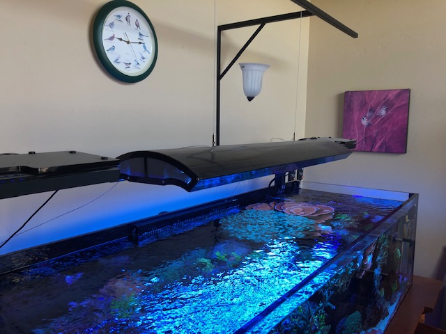 Idaho - 4 Foot Giesemann Infiniti 2x 250w Double Ended 4x54w Metal ...