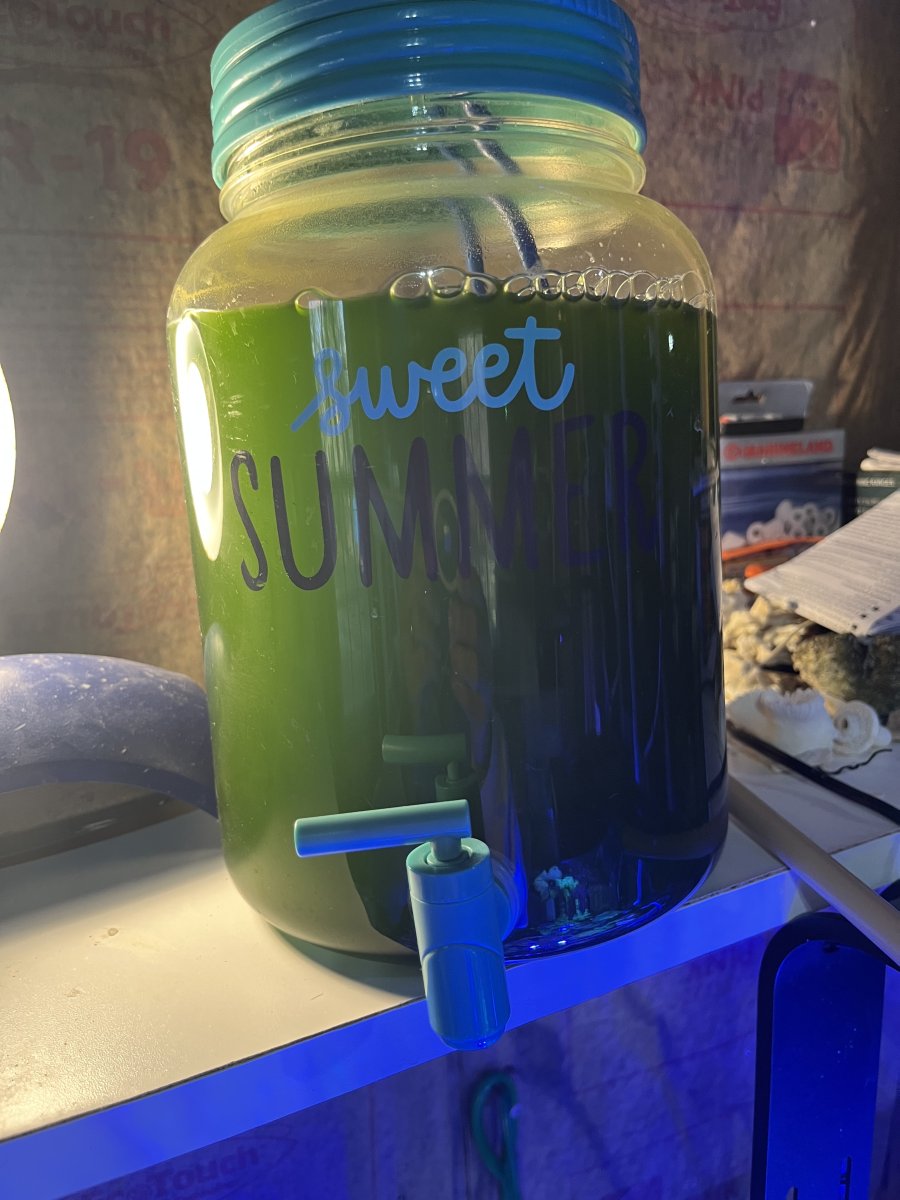 IMG_0936.jpeg