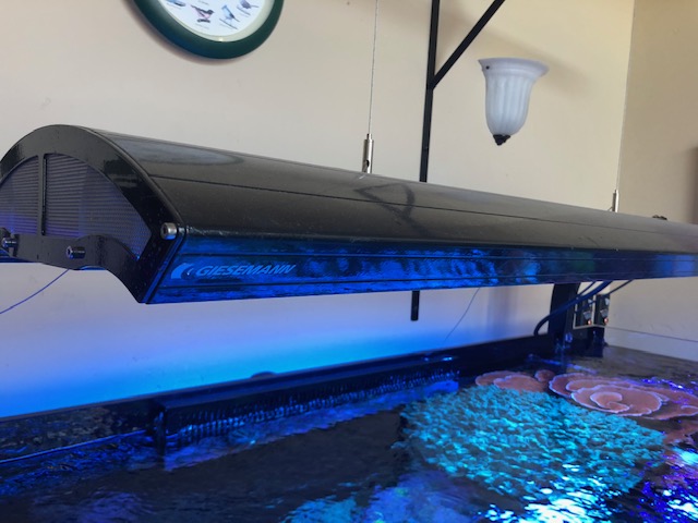 Idaho - 4 Foot Giesemann Infiniti 2x 250w Double Ended 4x54w Metal ...