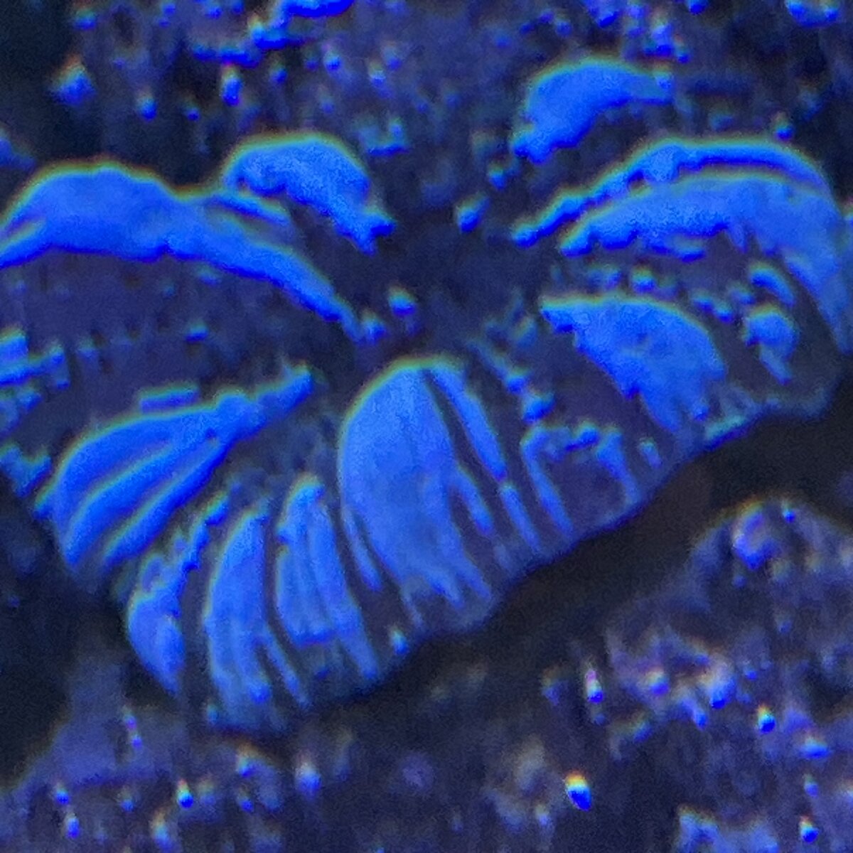 IMG_0941.jpeg