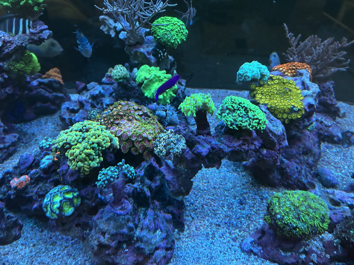 IMG_0942.jpeg