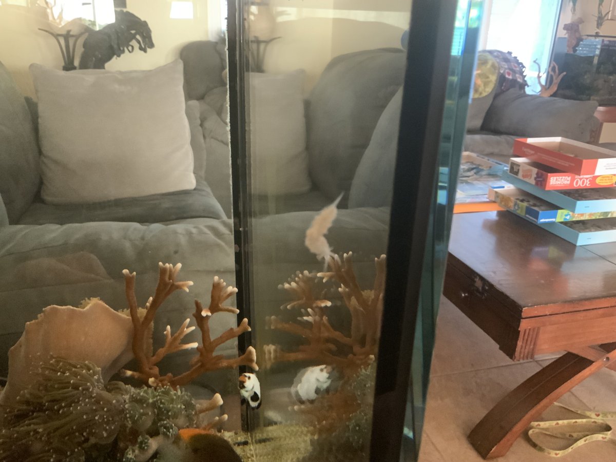 IMG_0943.jpeg
