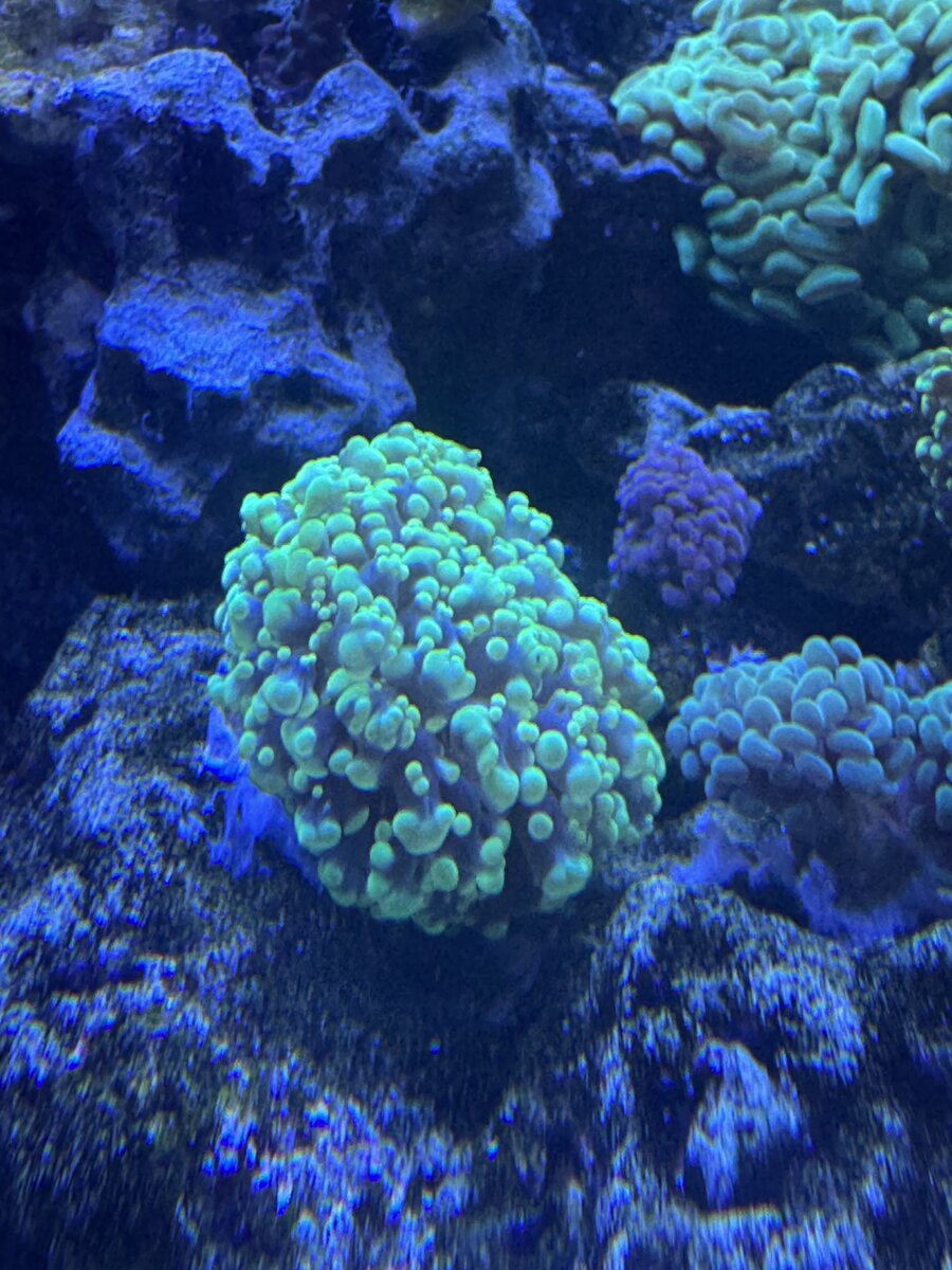IMG_0959.jpeg