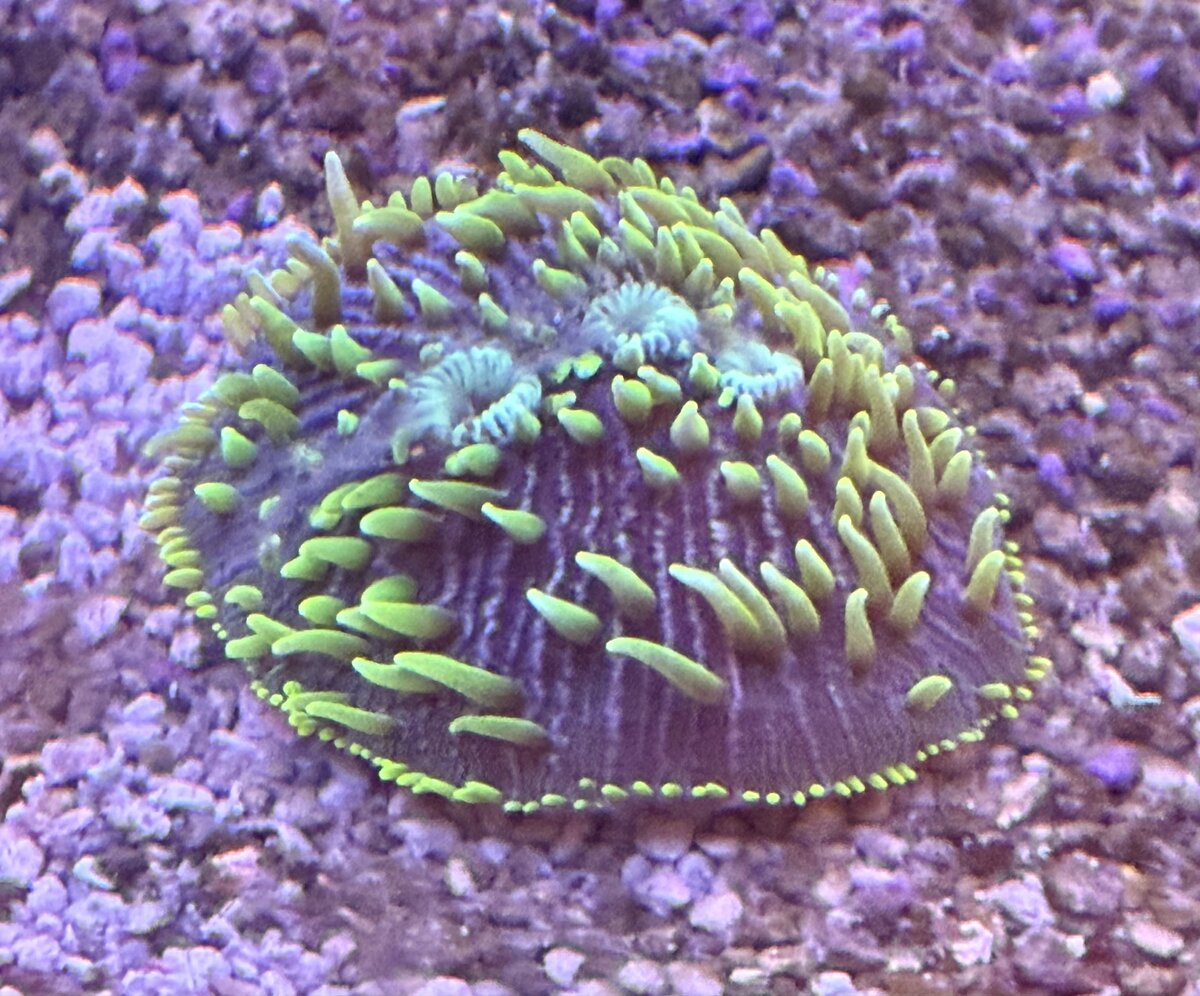 IMG_0965 2.jpeg