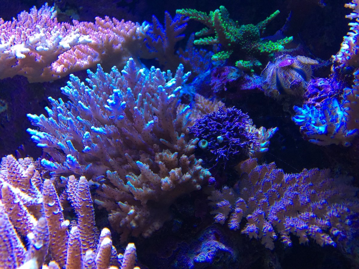 IMG_0965.jpg