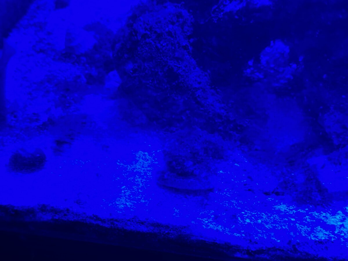 IMG_0975.jpeg