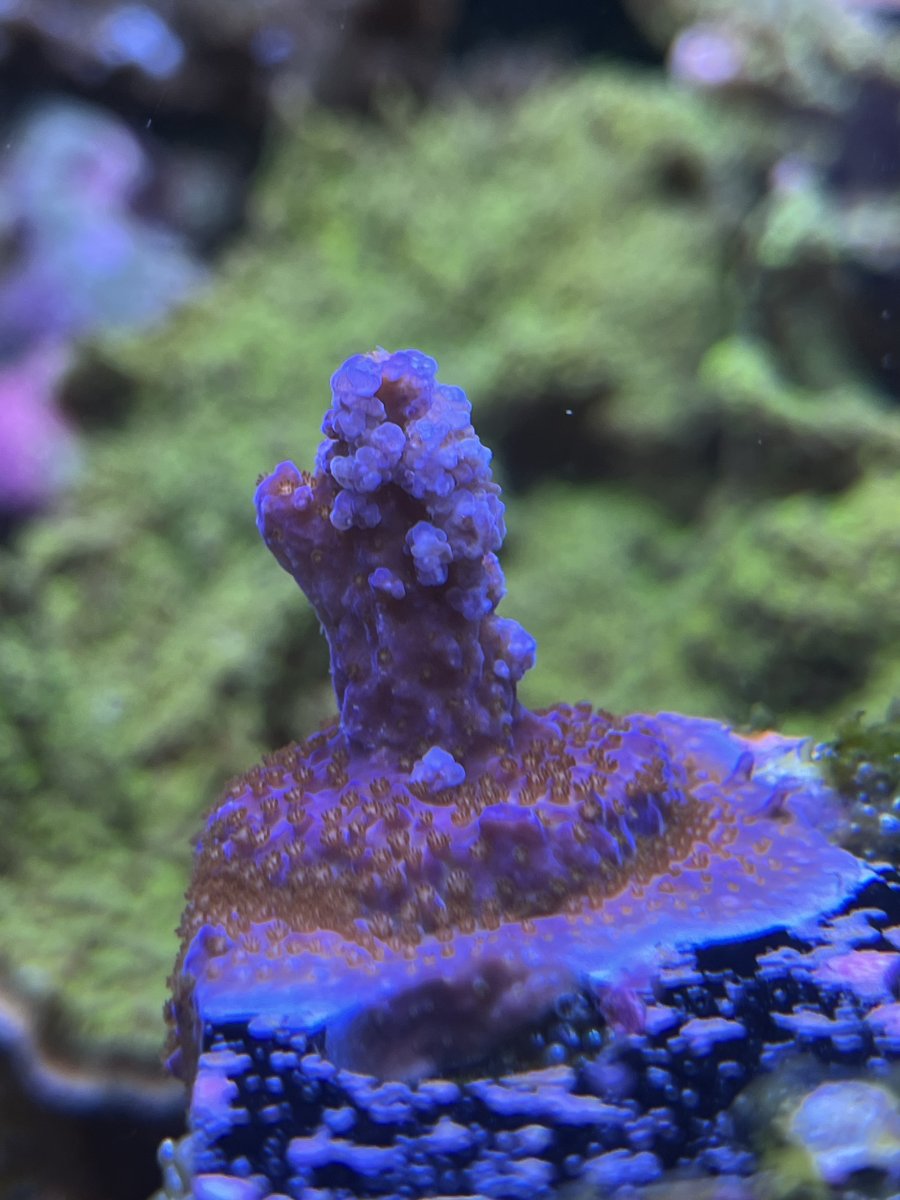 IMG_0984.jpeg