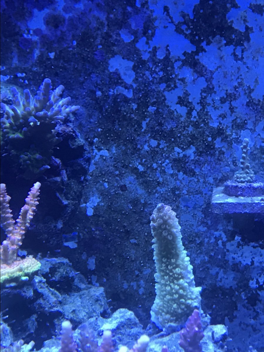 IMG_0985.JPG