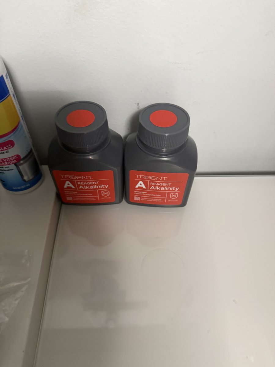 IMG_0990.jpeg