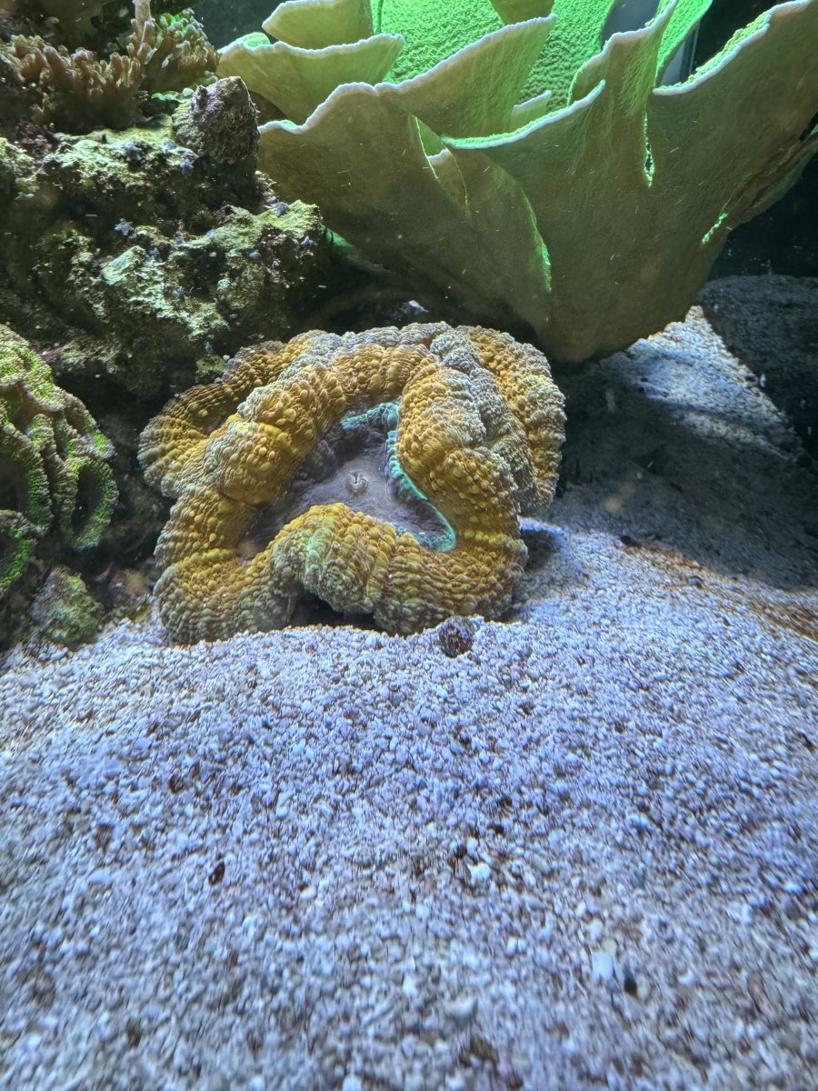 IMG_0998.jpeg