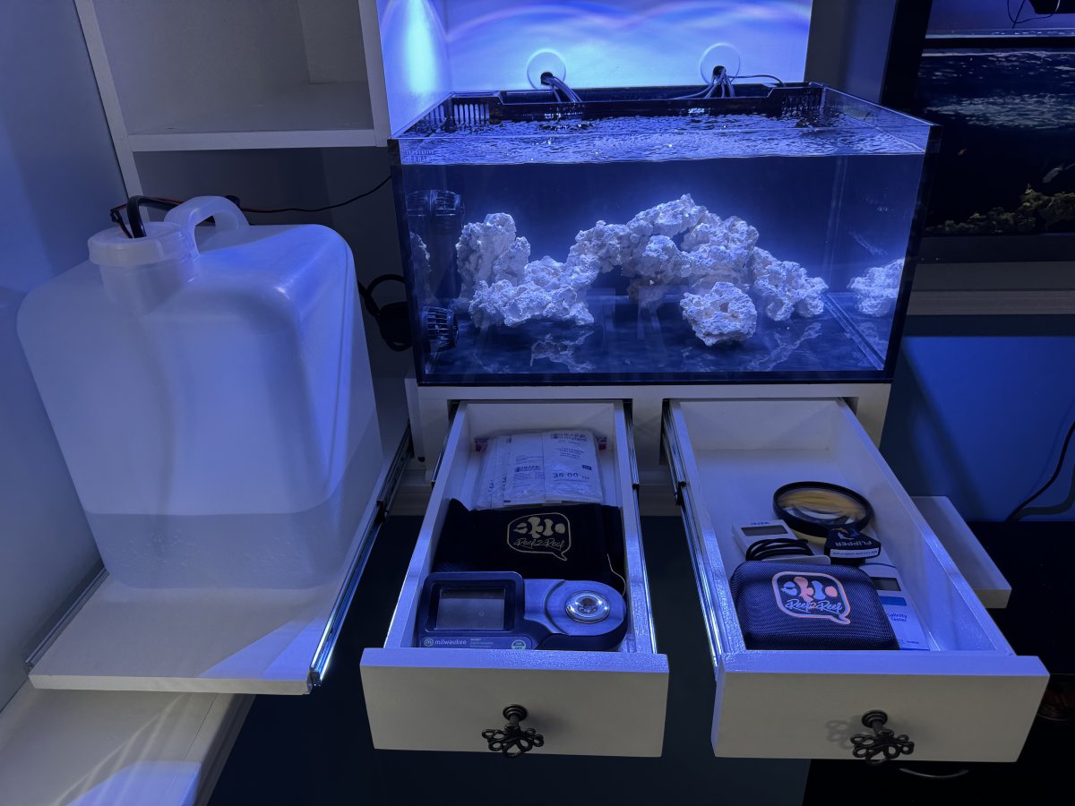 AIO Build - Fish Fan's IM 25 Gallon Lagoon AIO Invert Resort, Spa And ...