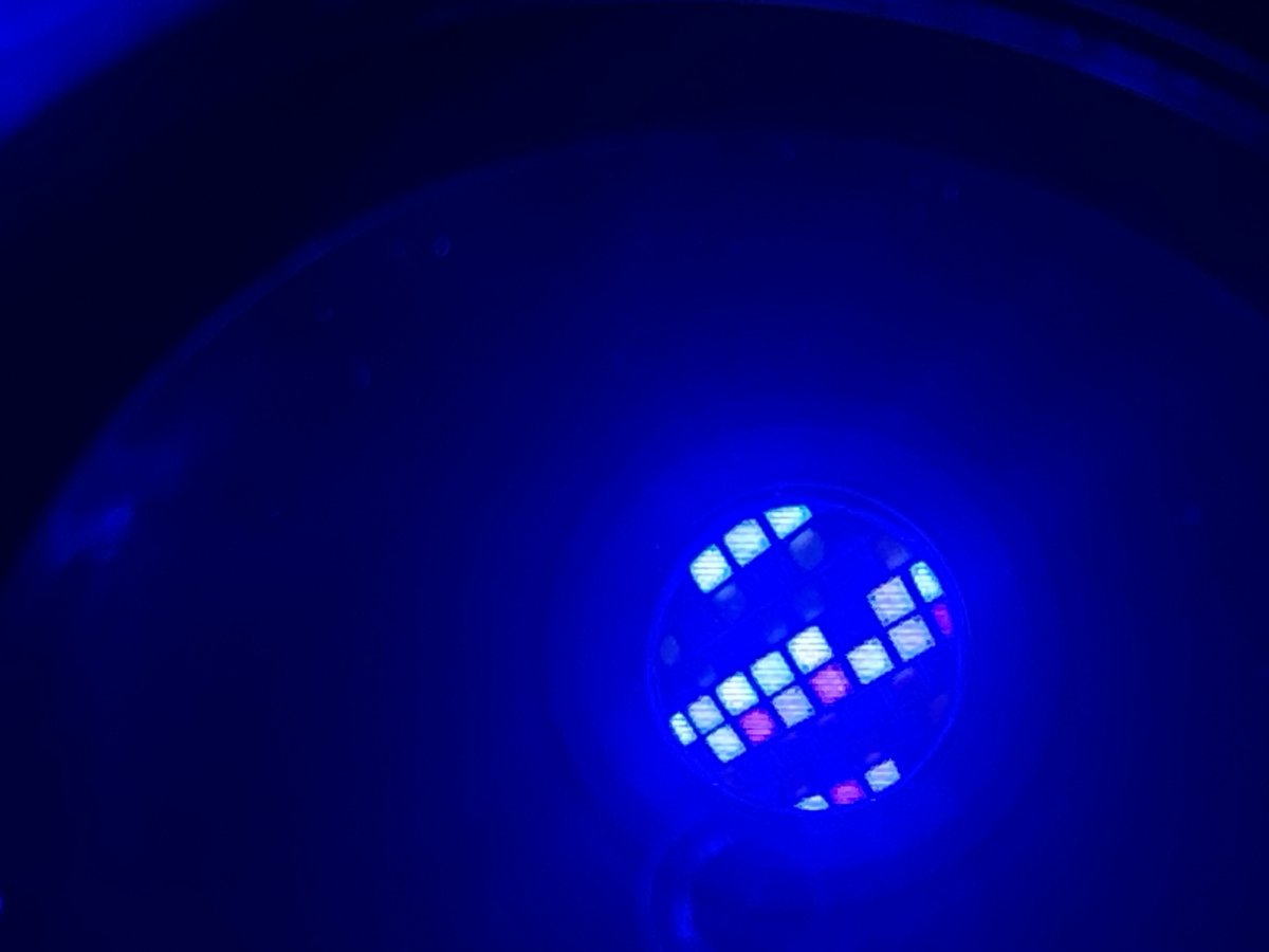 IMG_1006.jpeg