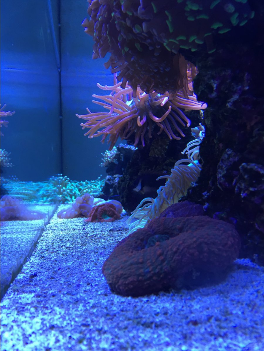 IMG_1025.JPG