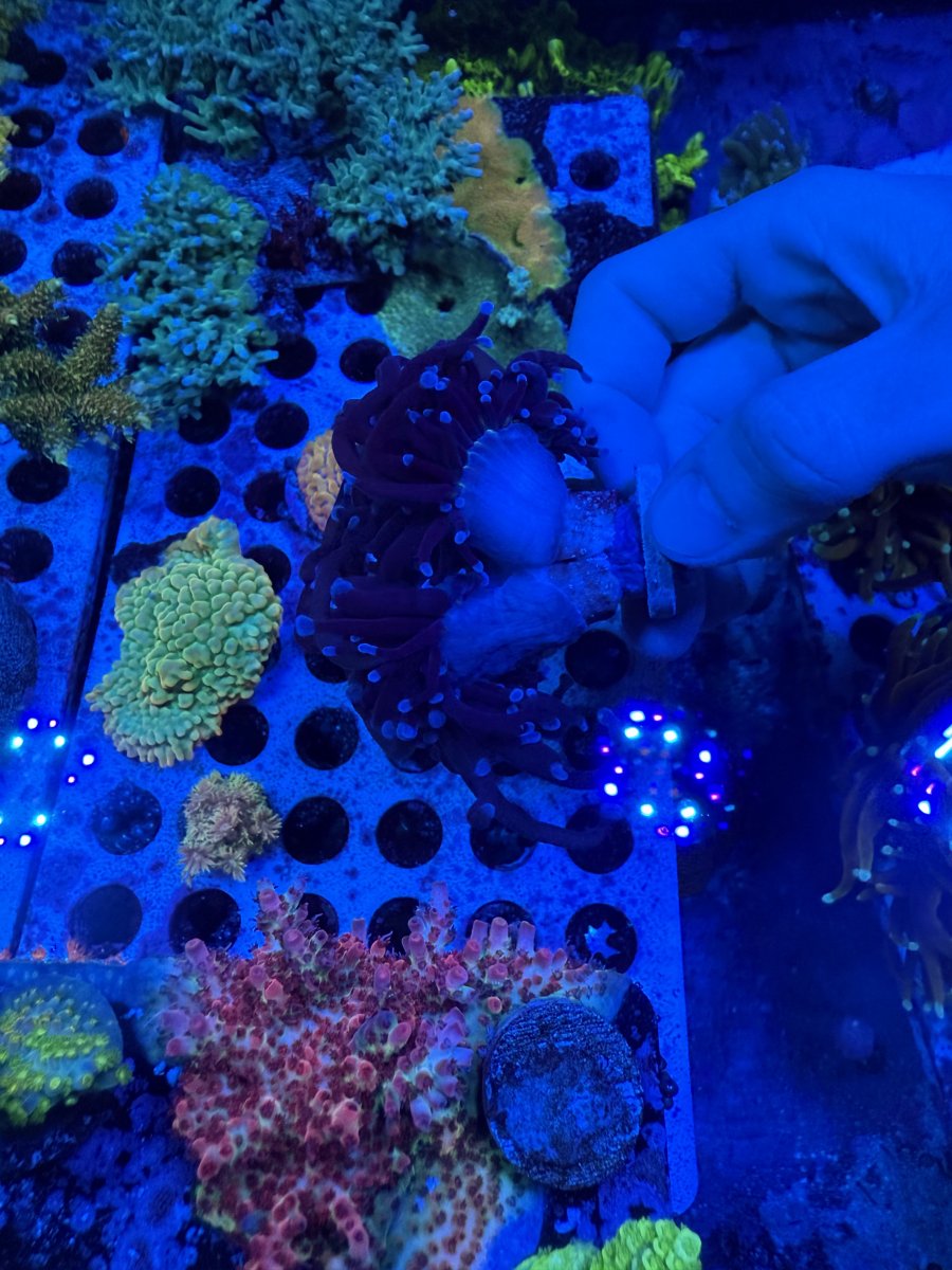 IMG_1028.jpeg