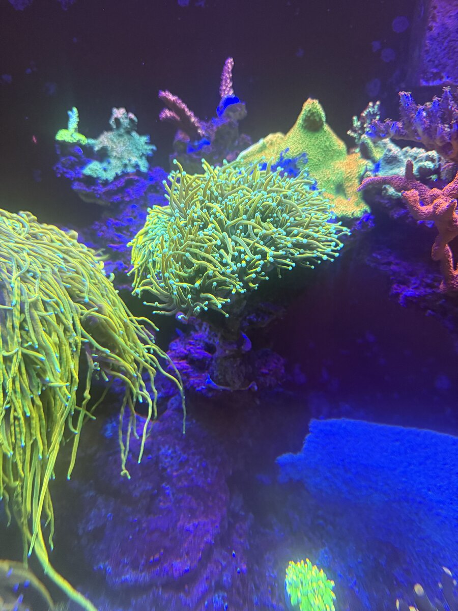IMG_1042.jpeg