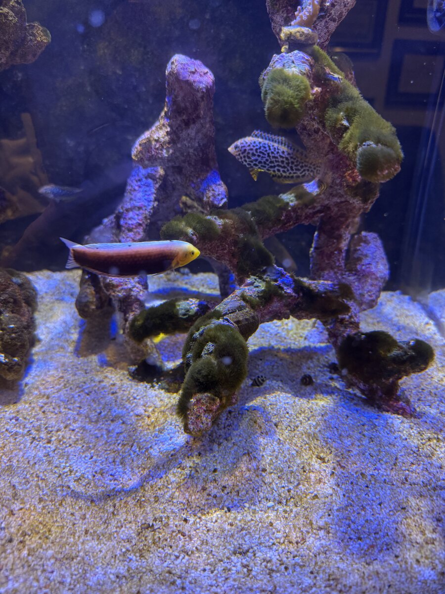 IMG_1044.jpeg