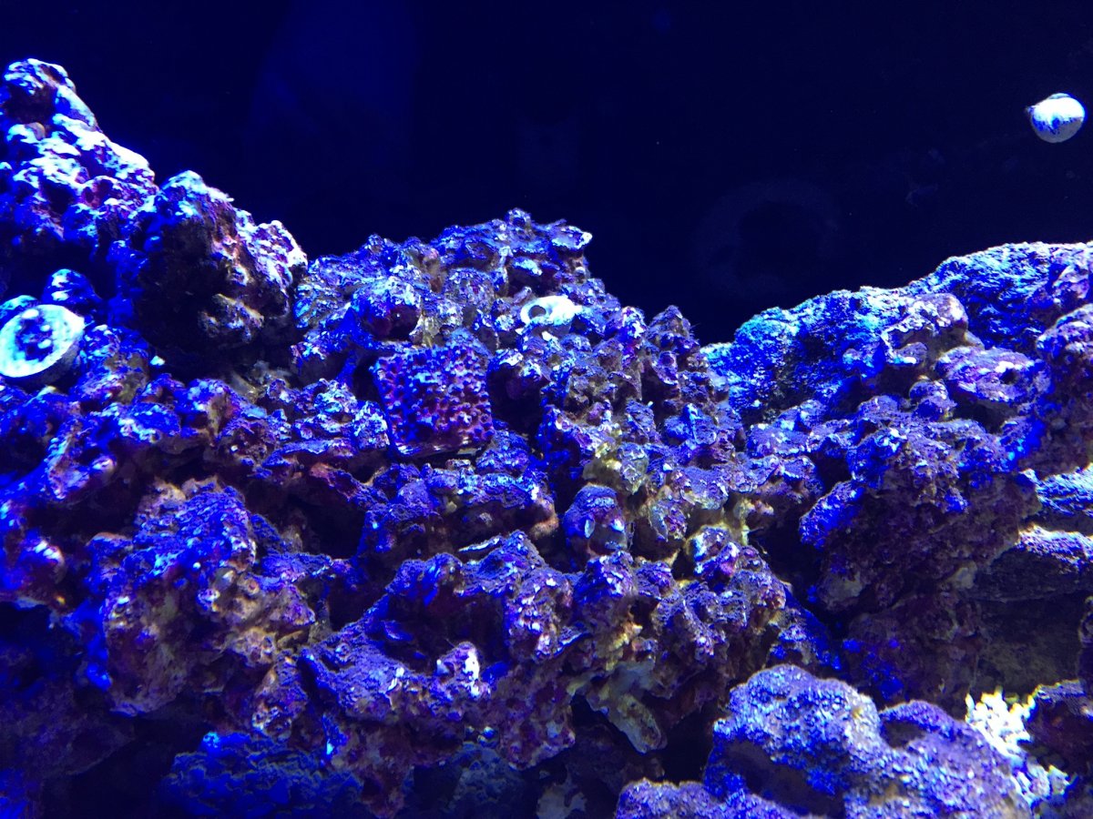 IMG_1046.JPG