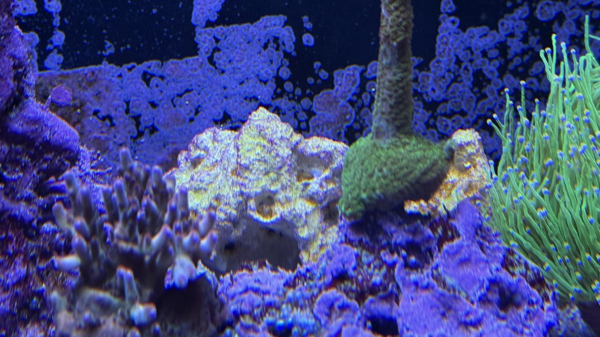 IMG_1048.jpeg