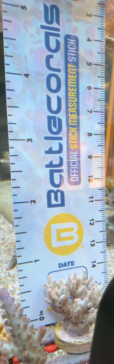 IMG_1050.JPEG