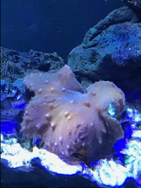 IMG_1055.jpg