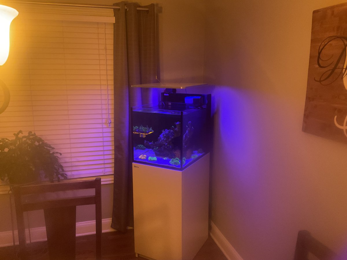 IMG_1062.jpeg